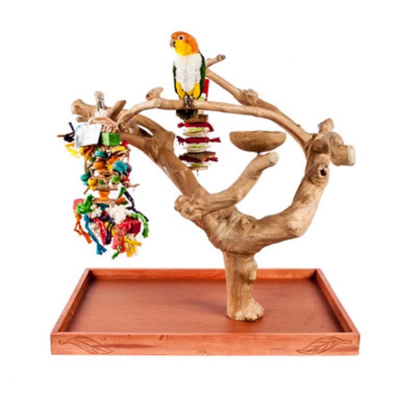 Java Tabletop Tree – Medium – Natural Hardwood Parrot Stand