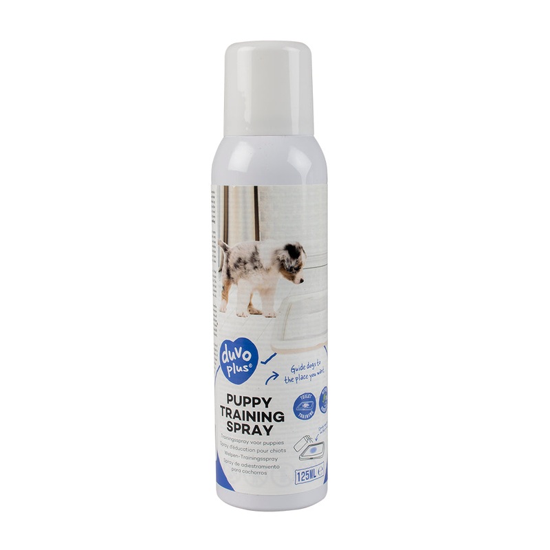 TRAINER SPRAY 125ml