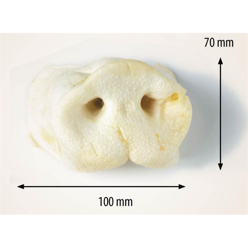 Antos Medium Pig Snouts