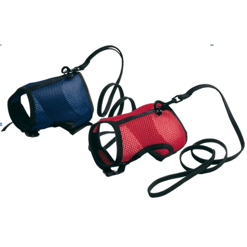 JOGGING EX-LG|RED|BLUE