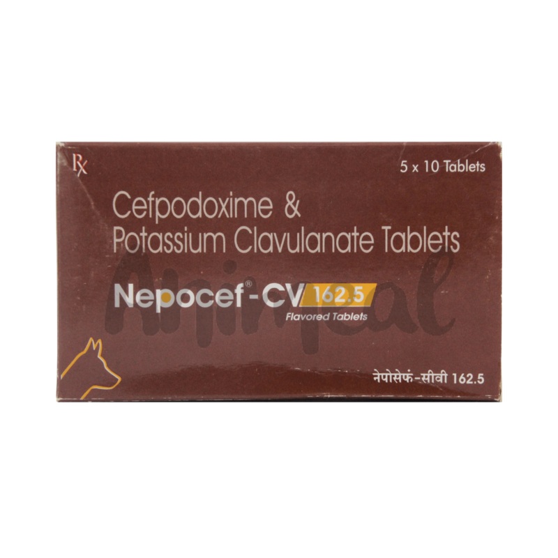 NEPOCEF-CV 162.5MG TABLET