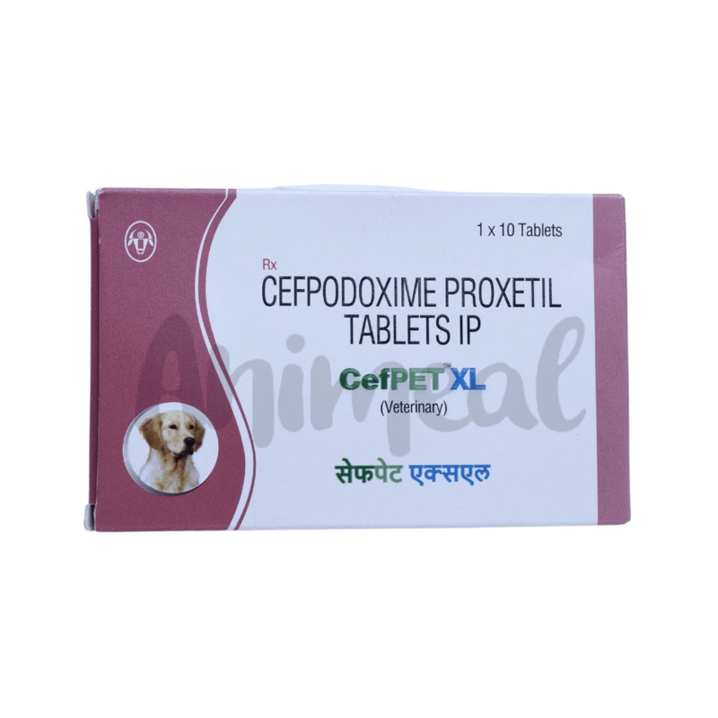 CEFPET XL TABLET