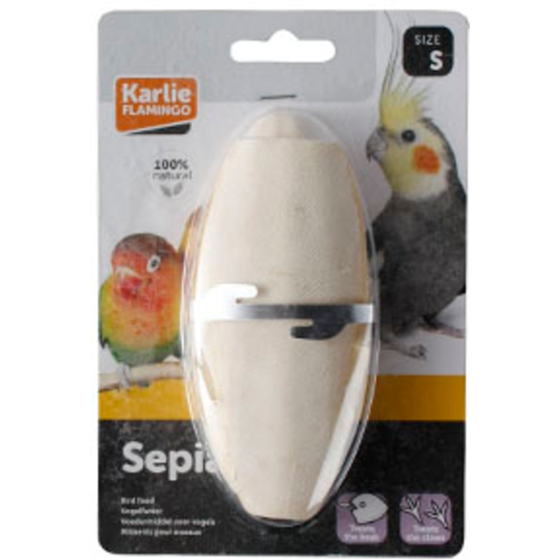 CUTTLEFISH BONE x 2PCS