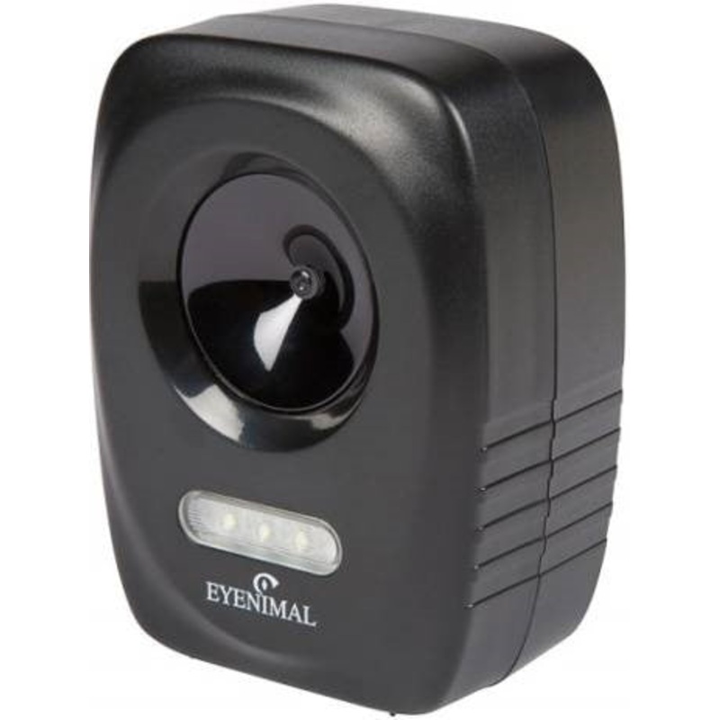 CAT STOP CHAT AN-B050