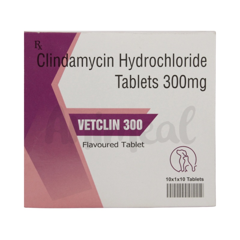VETCLIN 300MG TABLET