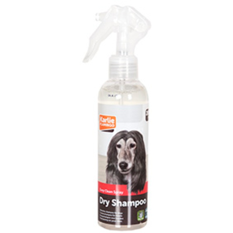 DRY CLEAN SHAMPOO 200ml|200ml