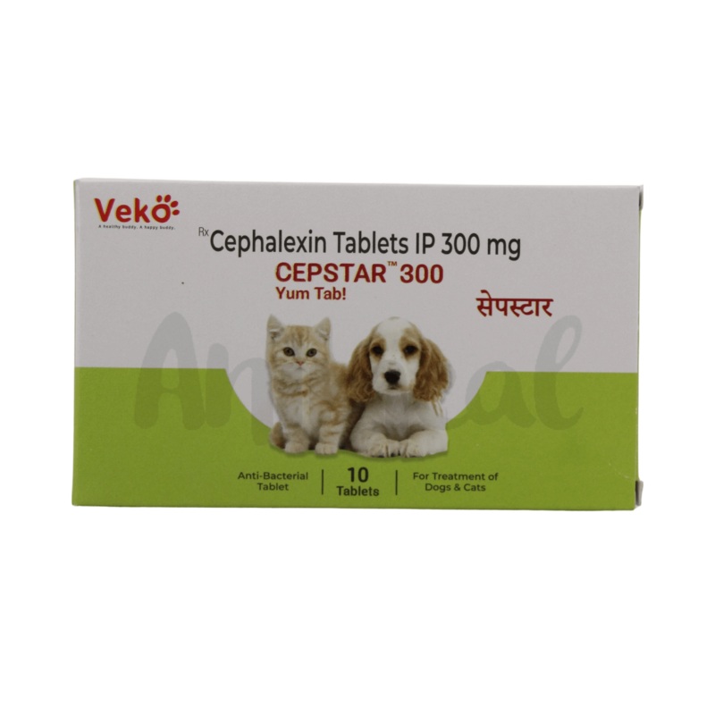 CEPSTAR 300MG TABLET3