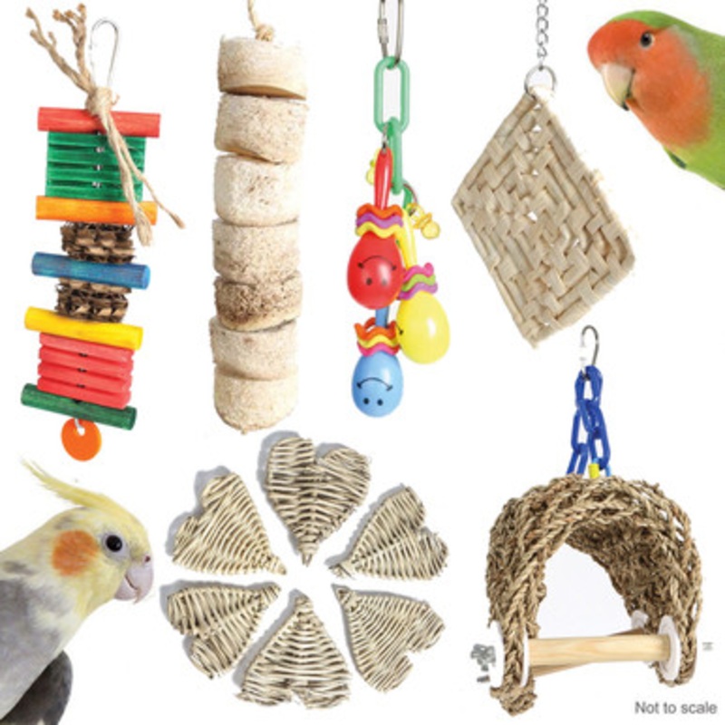 Northern Parrot Cockatiel and Small Parrot Toy Pack