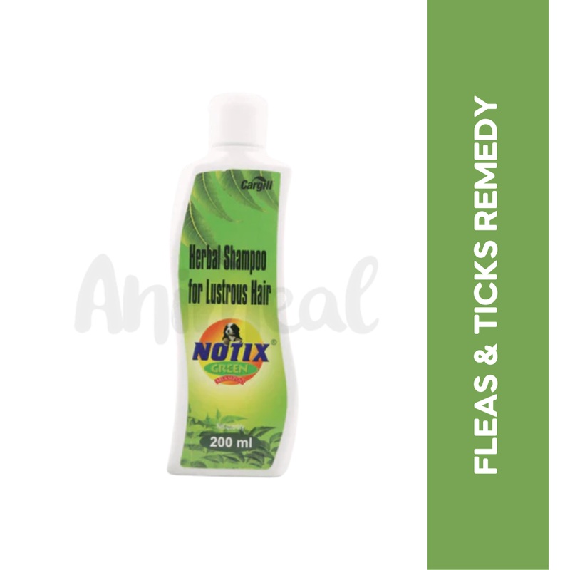 NOTIX GREEN SHAMPOO