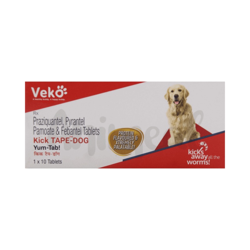 KICK TAPE DOG TABLET