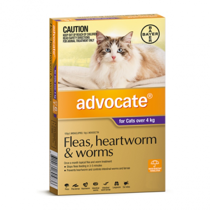 Advocate Cat over 4kg