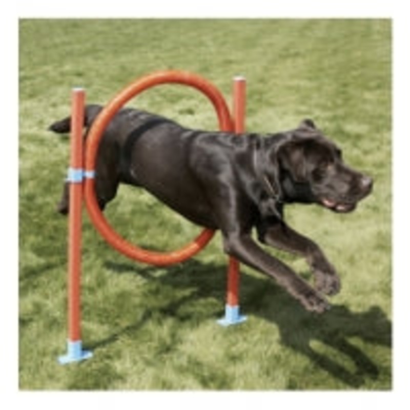 Agility Hoop Jump