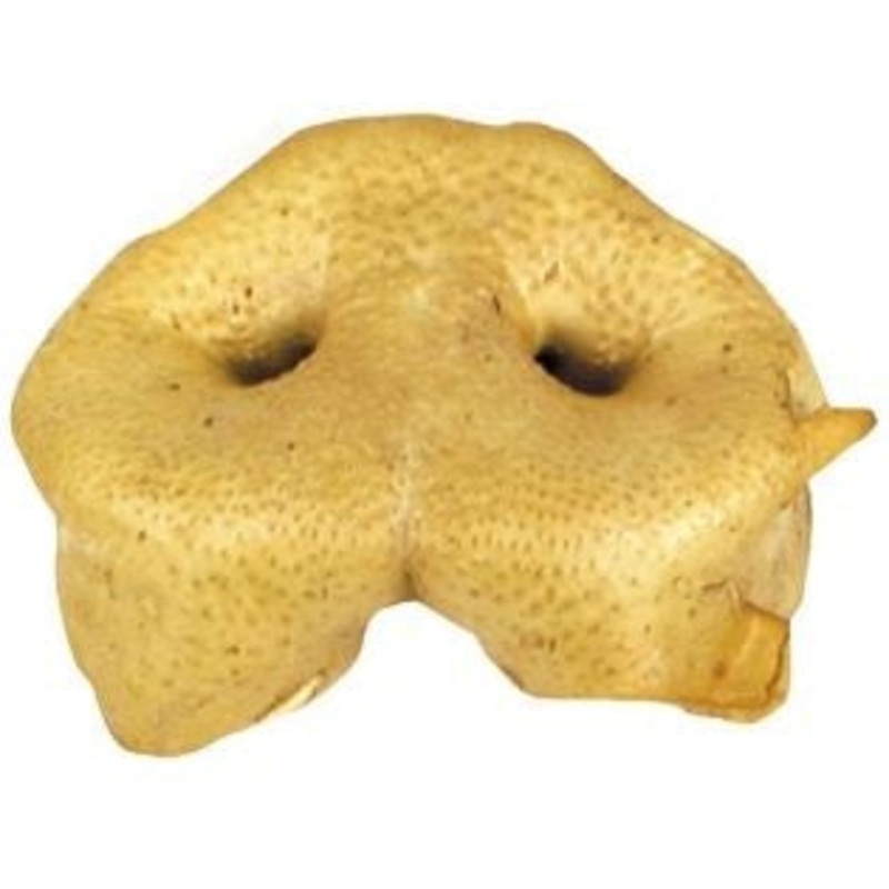 FARMZ PIG NOSE HONEY
