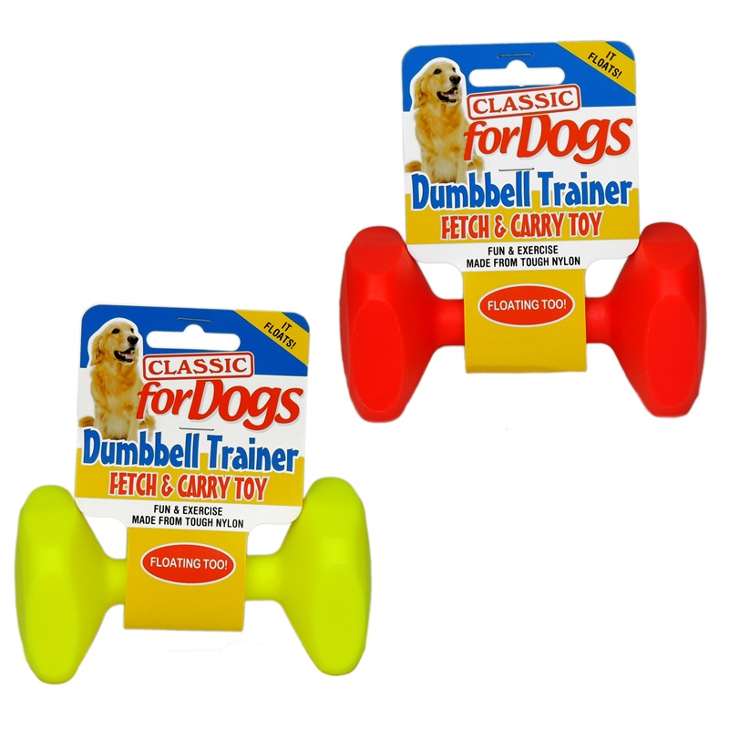 Small Training Dumbbell