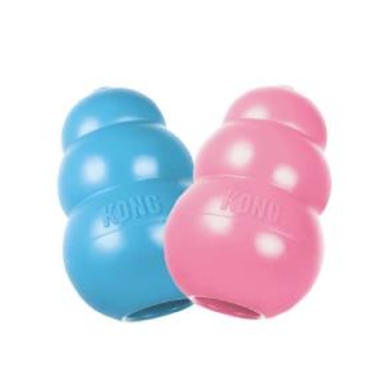 Kong Puppy|Small|Medium|Large|Blue/pink