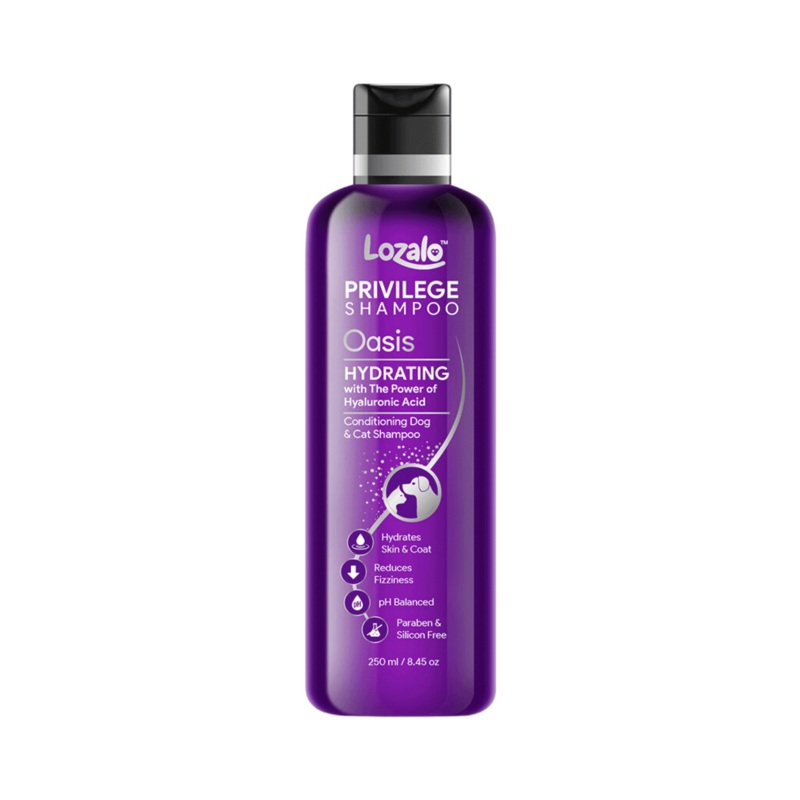 LOZALO PR OASIS CONDITIONING