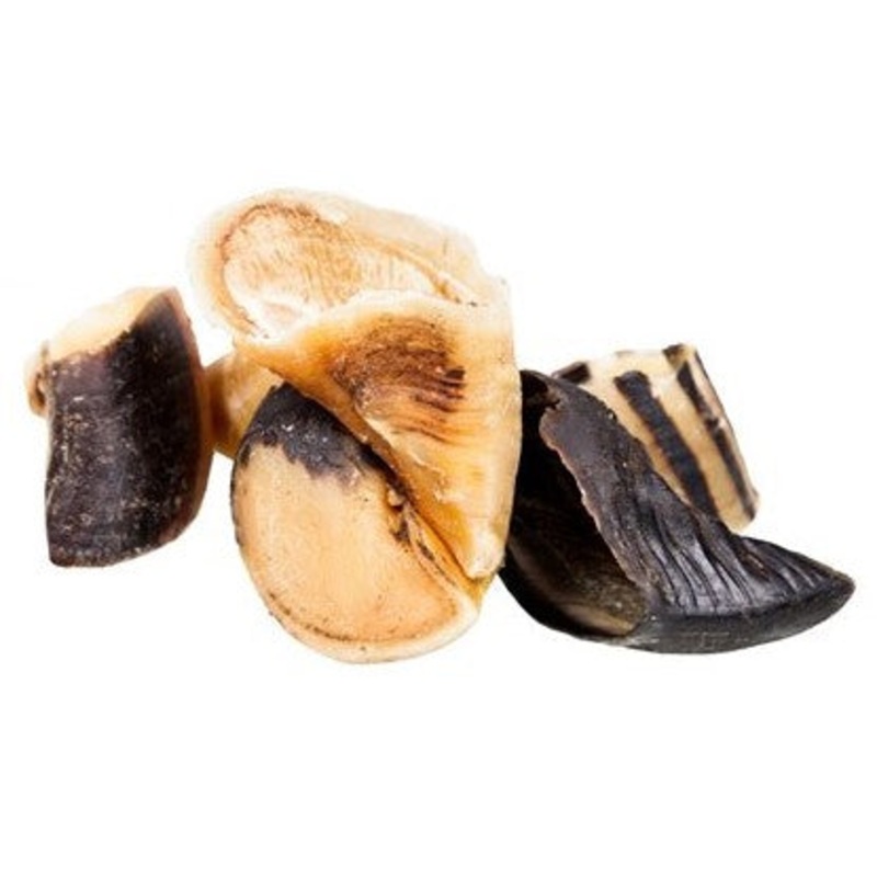 Cow Hooves|Single Hoof|Pack of 8