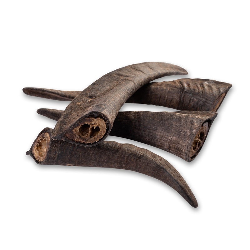 Goat Horn with Marrow|Medium|Large|XLarge