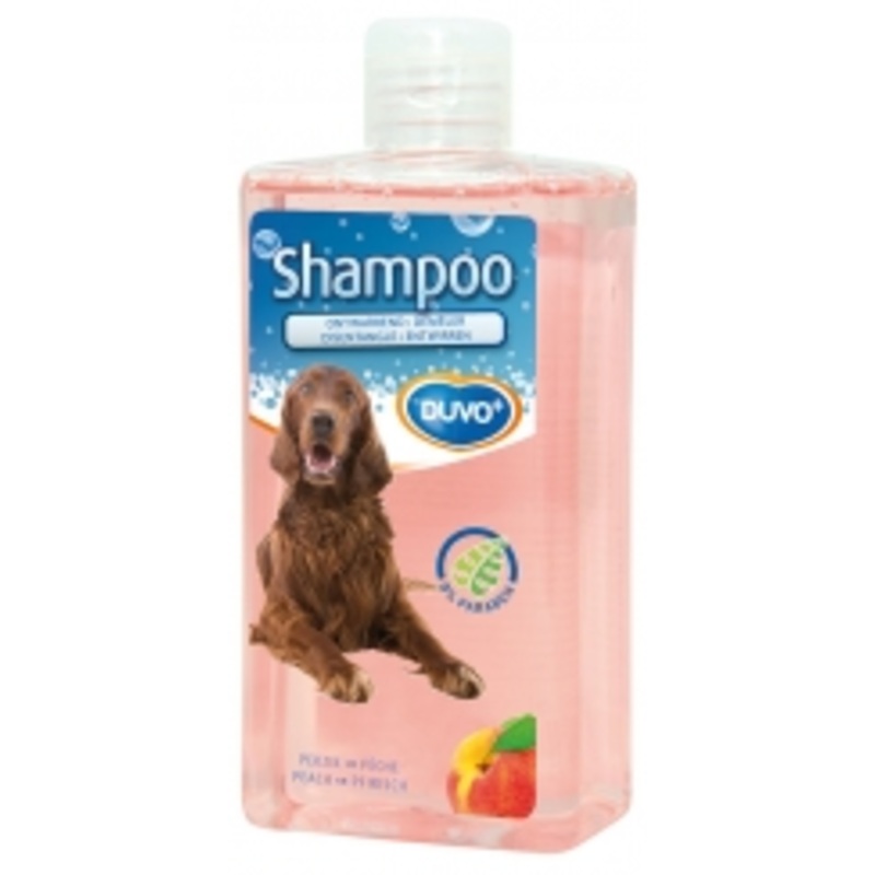 SHAMPOO DISENTAGLE 250ml|250ml