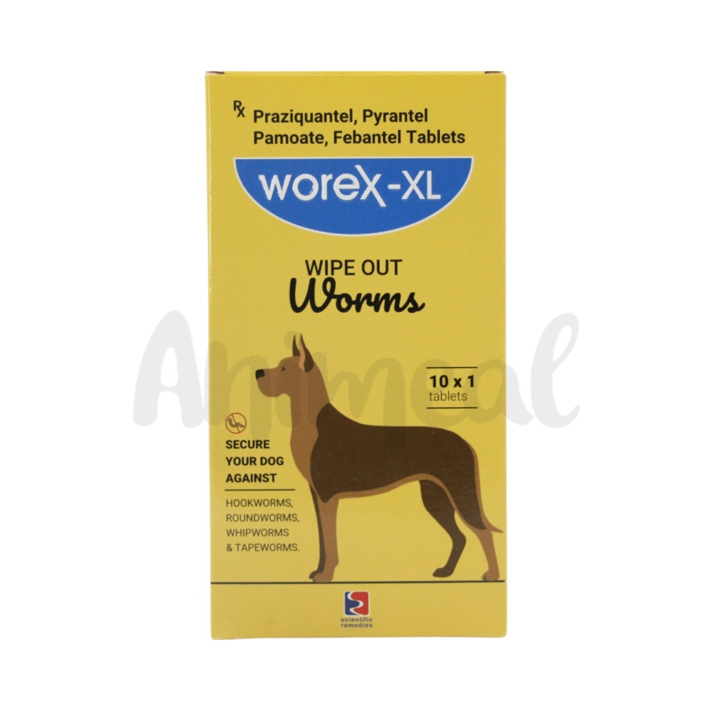 WOREX XL TABLET
