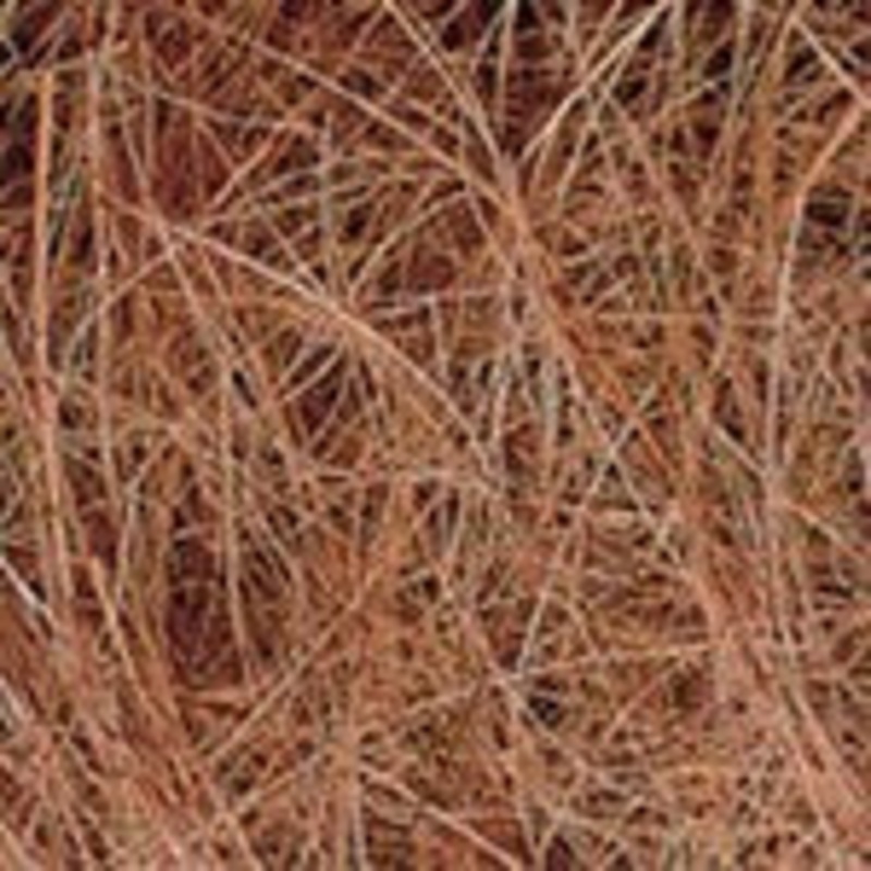 COCCO GREZZO 50g|50g