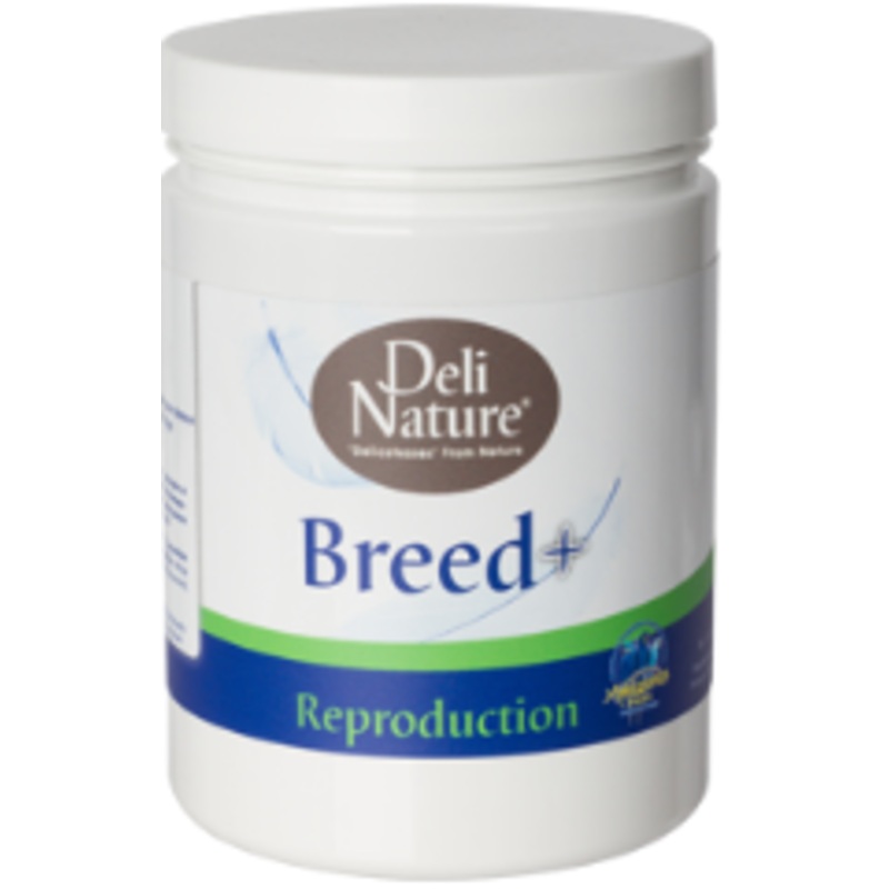 BREED PLUS 500G|500gr