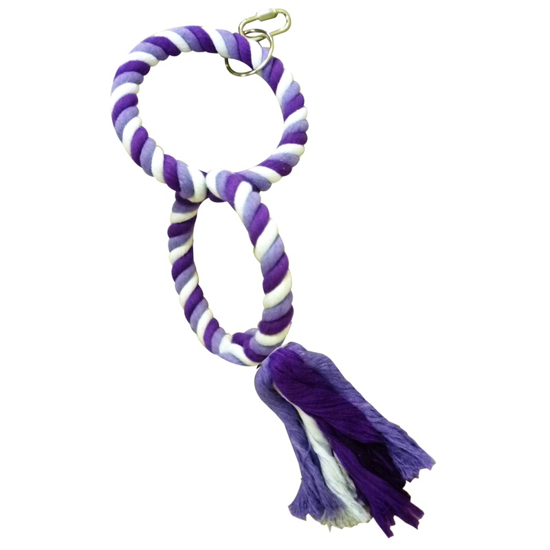Double Ring Swing