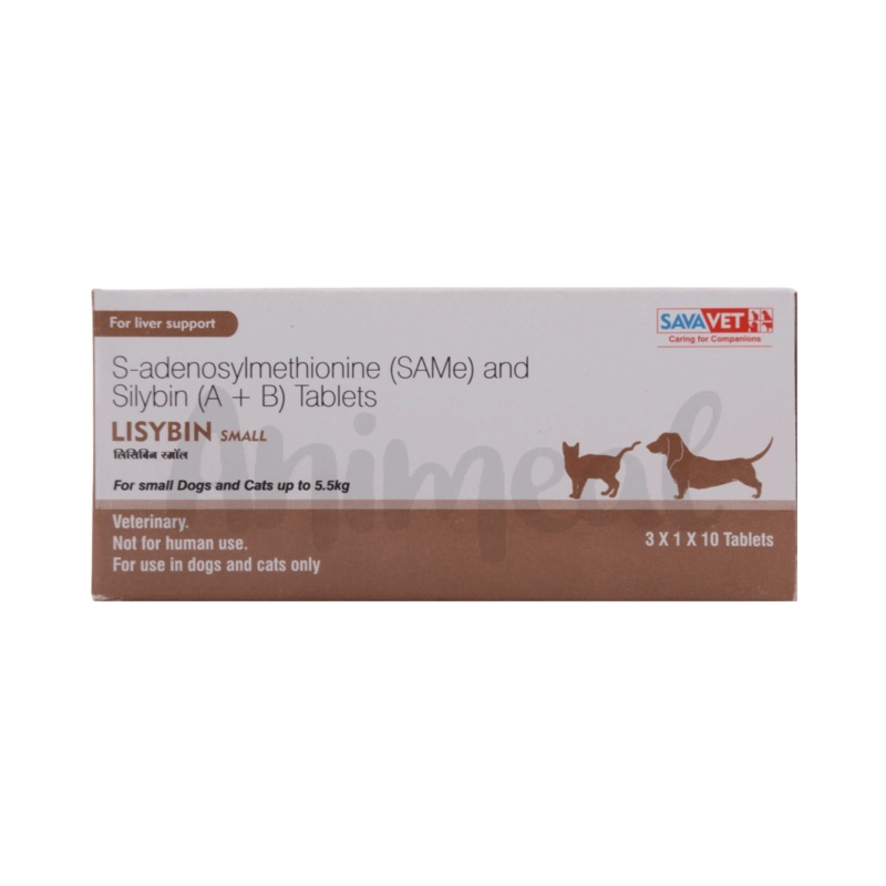 LISYBIN SMALL TABLET