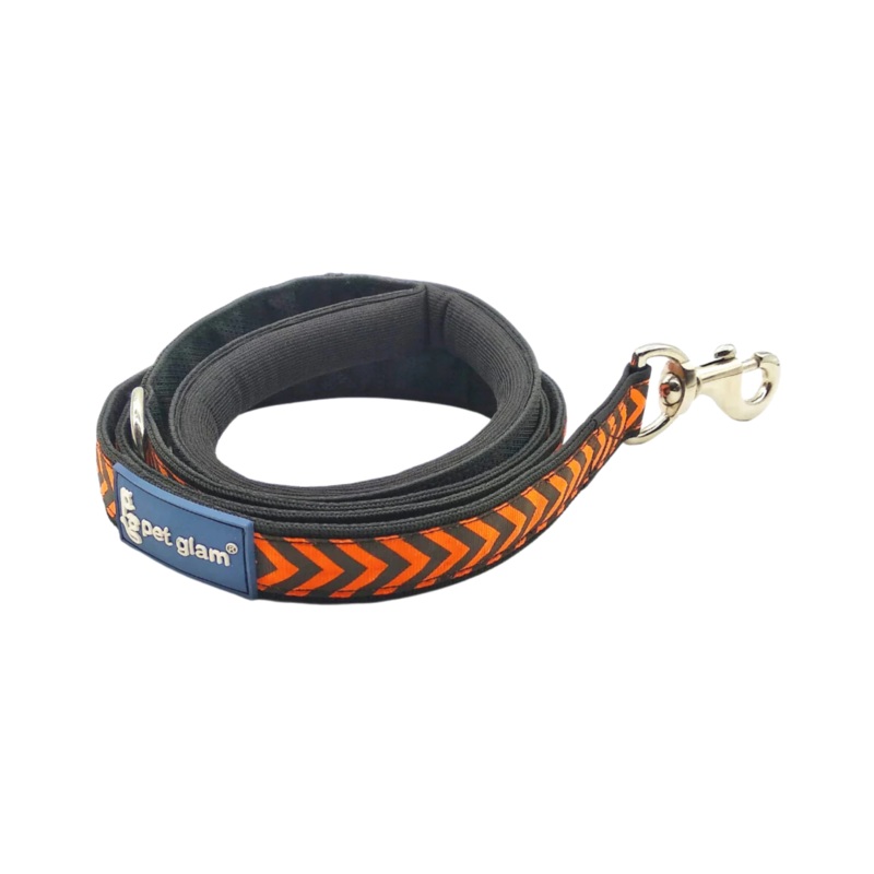 PG DOG LEASH TRAIL (L)