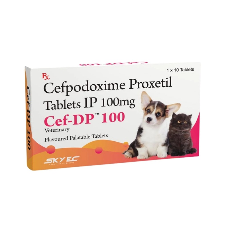 CEF – DP 100MG TABLET