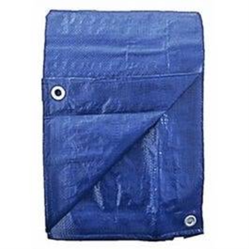 Agway Polyethylene Tarp|12′ x 20’|Blue