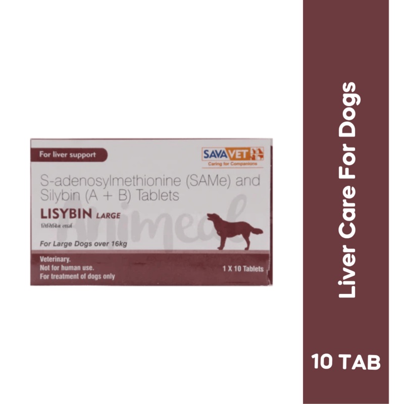 LISYBIN LARGE TABLET