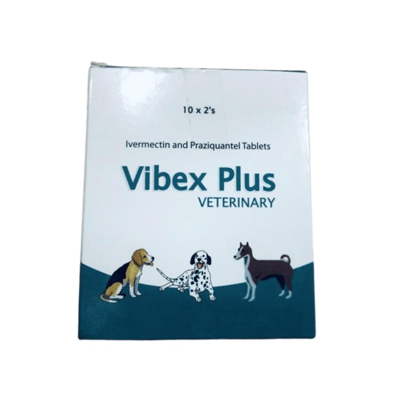 VIBEX PLUS TABLET