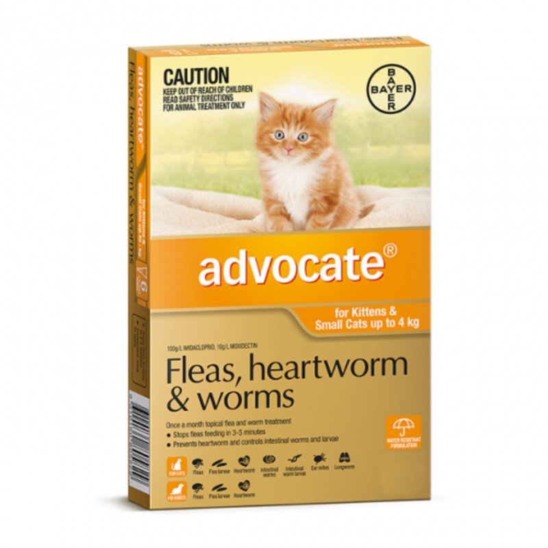 Advocate Cat & Kitten Under 4kg