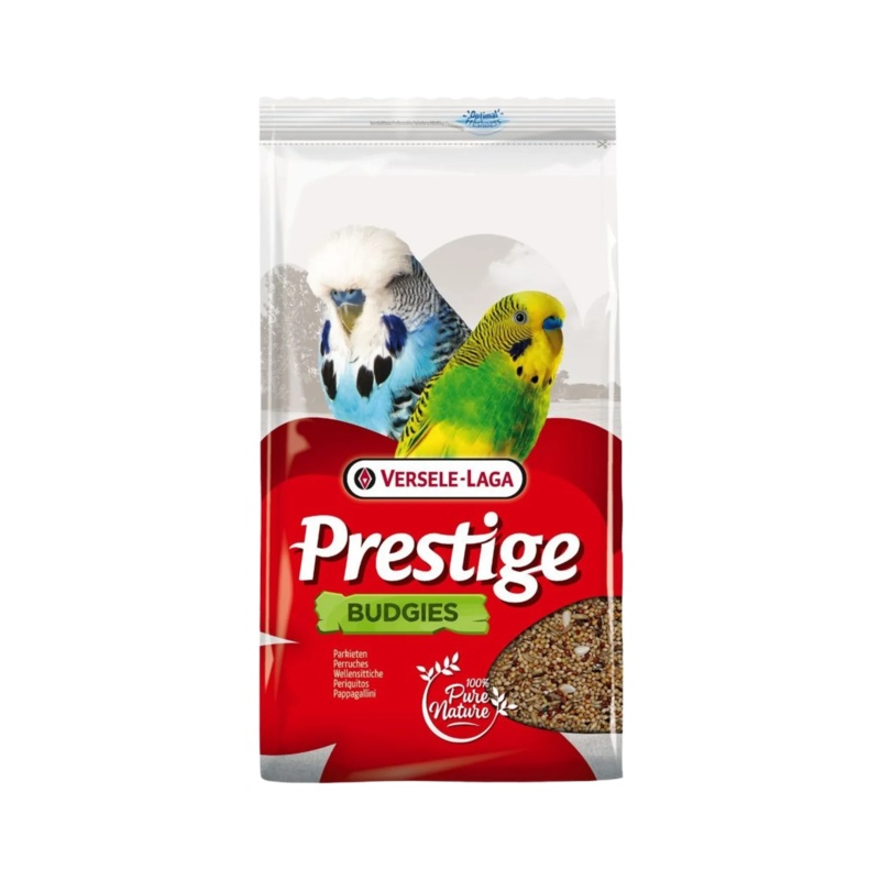 BIRD FOOD BUDGIES BREEDING