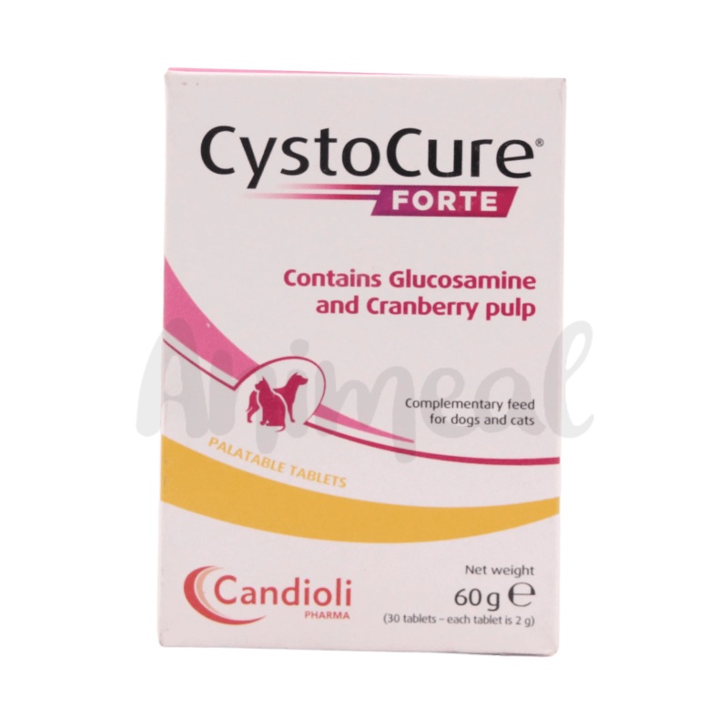 CYSTOCURE FORTE TABLET