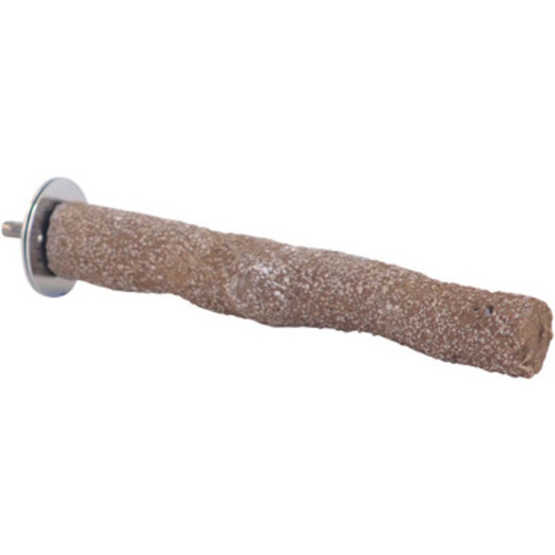 Beach Branch Perch – Small – Edible Parrot Perch