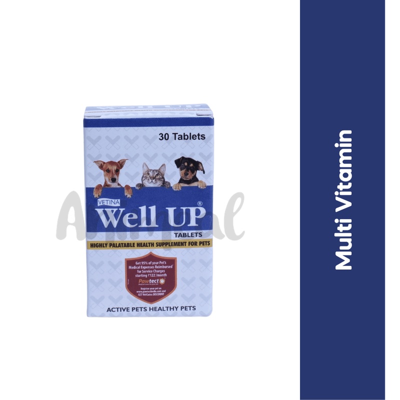 WELL UP TABLET