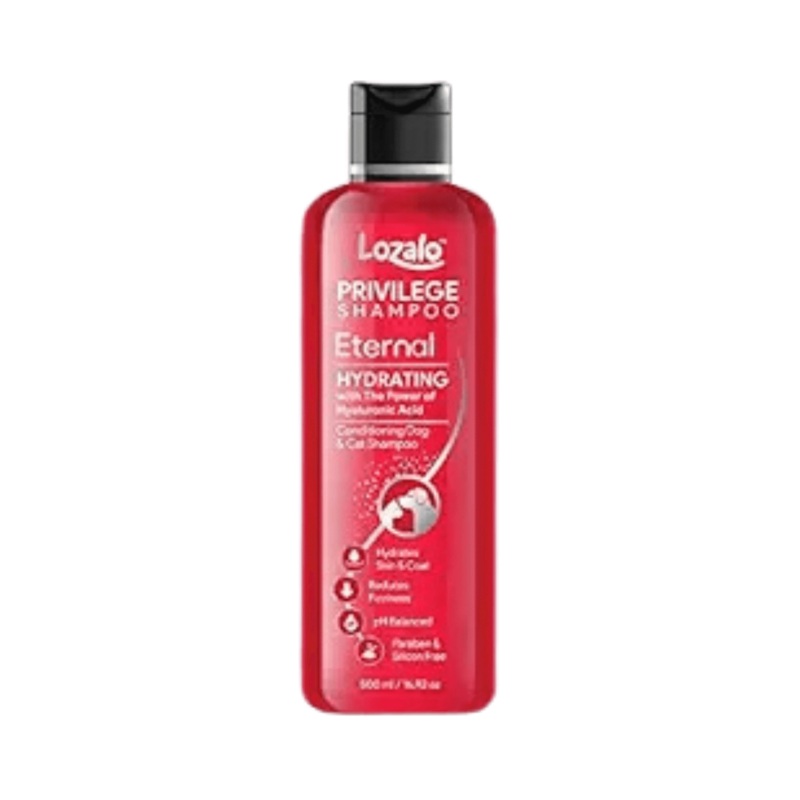 LOZALO PR ETERNAL CONDITIONING