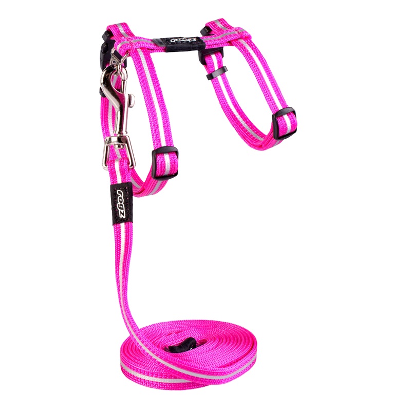 AlleyCat Harness and Lead Set|XSmall|Small|Black|Purple|Dayglow|Red|Pink