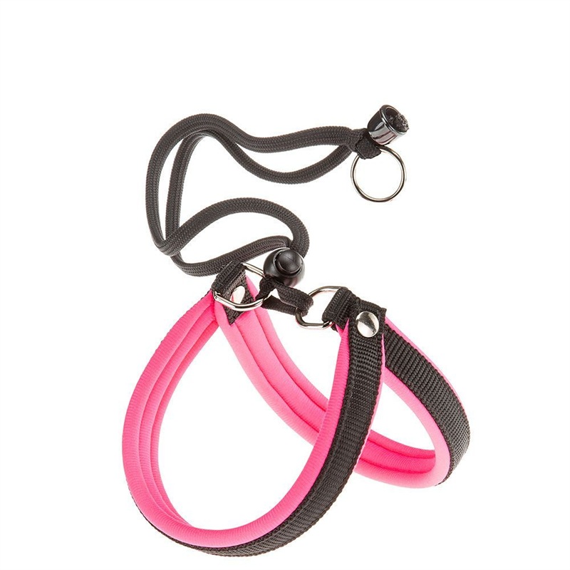 AGILA FLUO 2