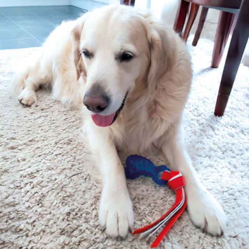 Hero Soft Rubber Drum Stick with Treat Pocket Dog Toy