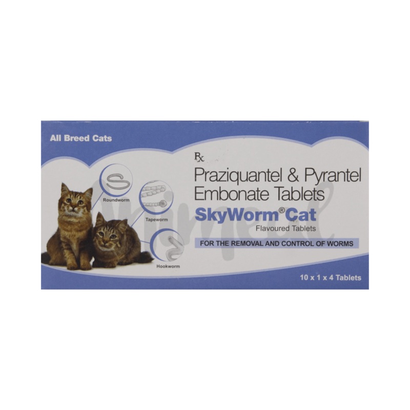 SKYWORM CAT TABLET