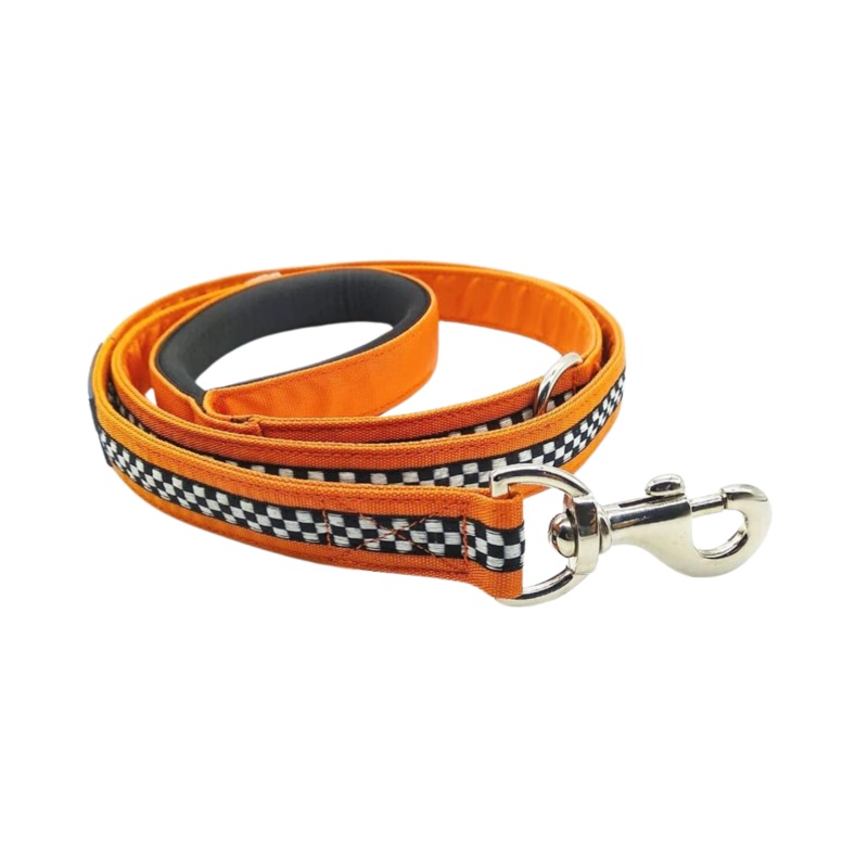 PG DOG LEASH IGNITE (L)