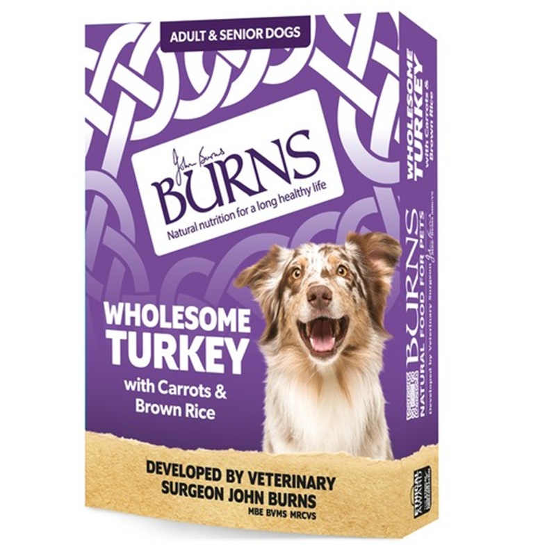 Burns Wholesome Turkey Wet Dog Food 150g