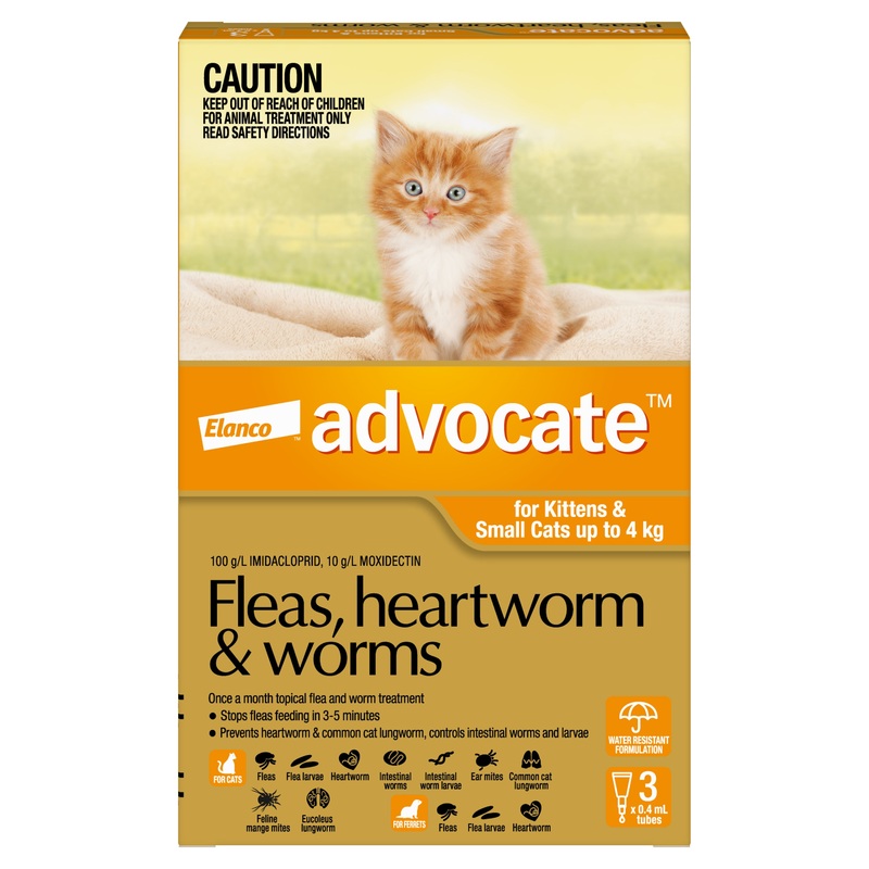 Advocate Orange- Kittens and Small Cats up to 4kg