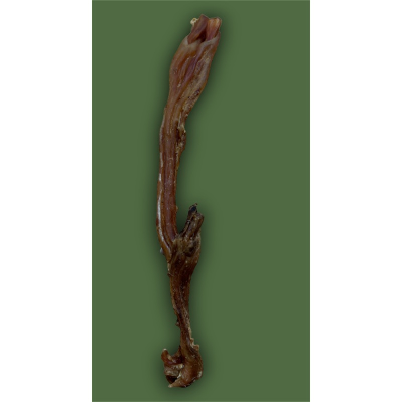 Anco Naturals Beef Tendons singles