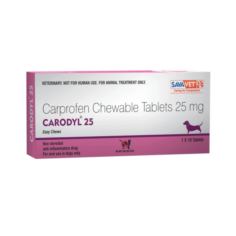 CARODYL 25 TABLET