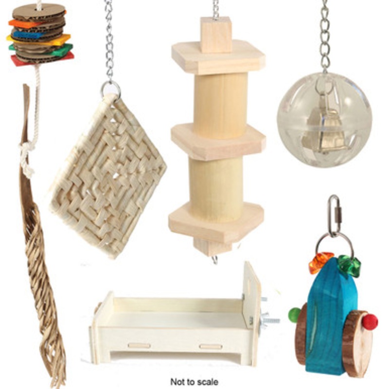 Northern Parrots African Grey Parrot Foraging Toy Bundle