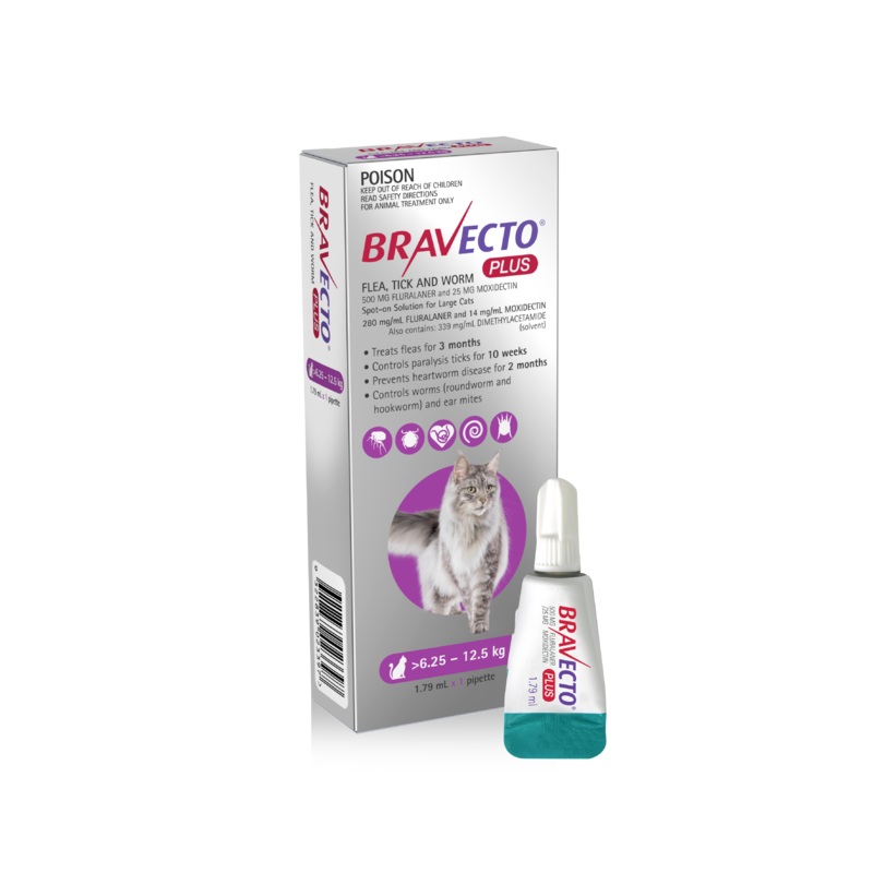 Bravecto Plus Purple Large cat  6.25 – 12.5kg
